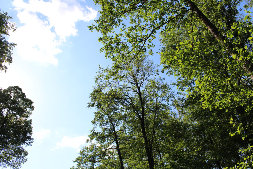 Nad Jeziorem Niedzięgiel Skorzęcin Rybakówka