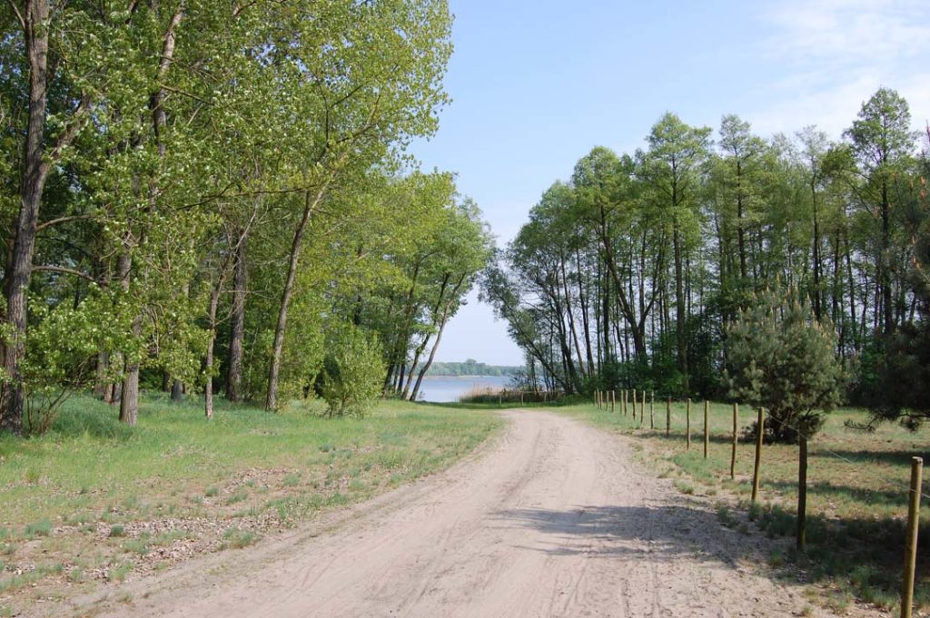 Dzika plaża w Skorzęcinie Rybakówce.150m od Domków Letniskowych Cztery Pory Roku