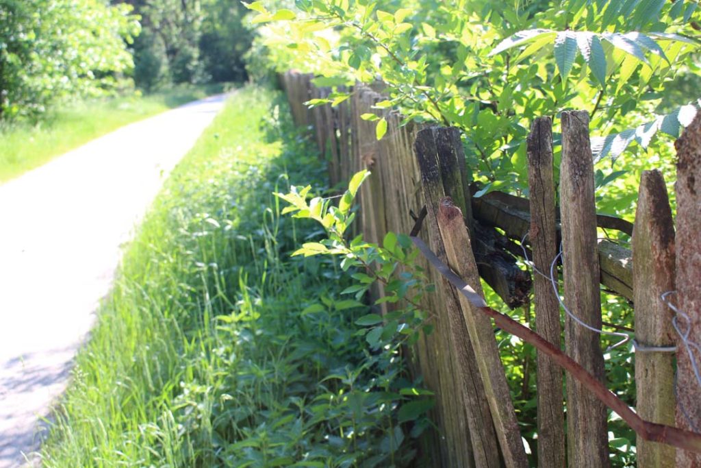 Spacerem przez Skorzęcin Rybakówkę