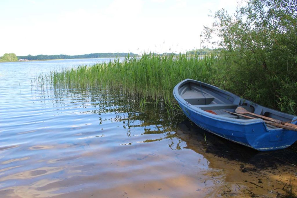 Nad Jeziorem Niedzięgiel dzika plaża Skorzęcin Rybakówka