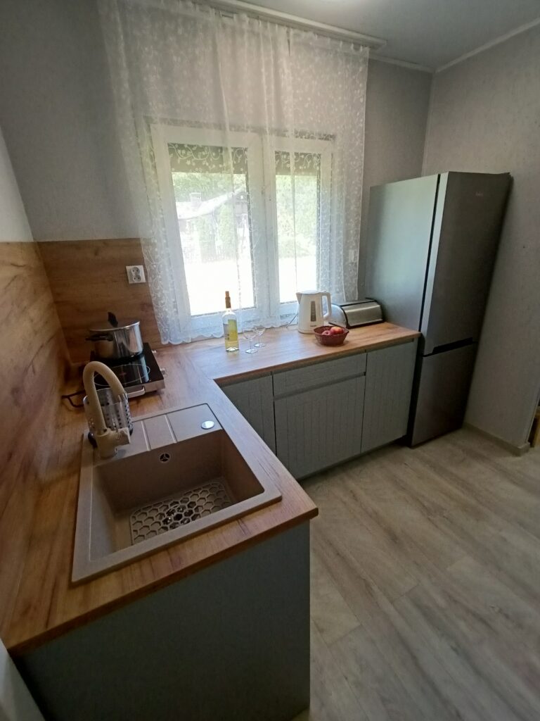 Apartament Lawendowy Skorzęcin aneks kuchenny